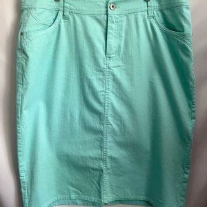 NWT Christopher & Banks skirt